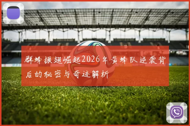 群蜂振翅崛起2026年黄蜂队逆袭背后的秘密与奇迹解析