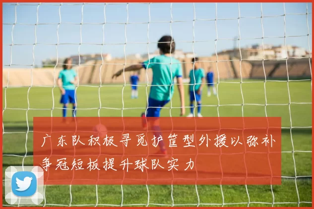 广东队积极寻觅护筐型外援以弥补争冠短板提升球队实力