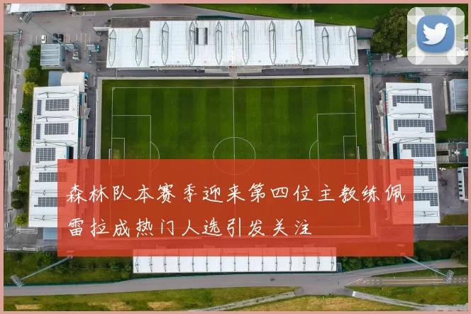 森林队本赛季迎来第四位主教练佩雷拉成热门人选引发关注